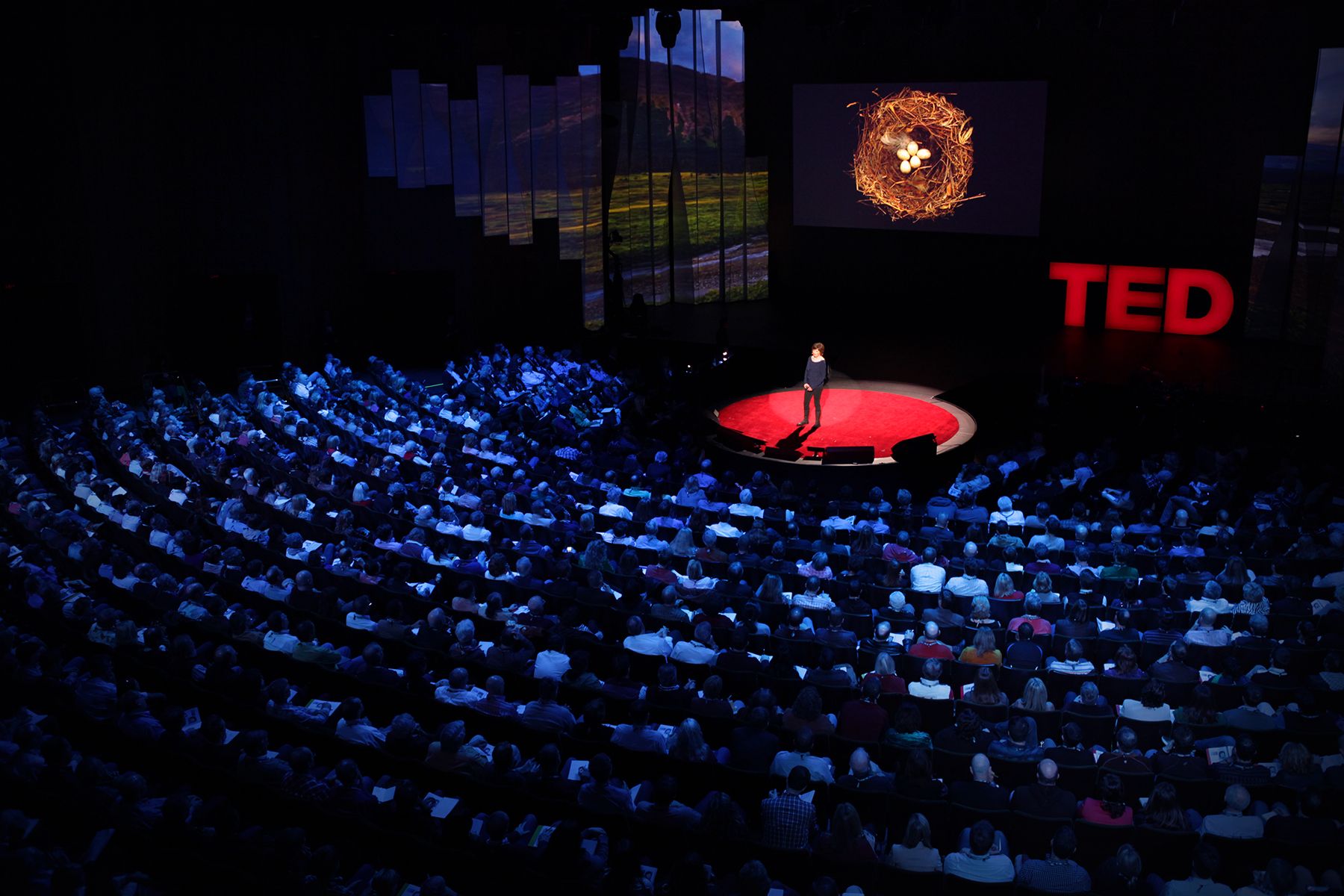5 TED Talks sobre arte y creatividad